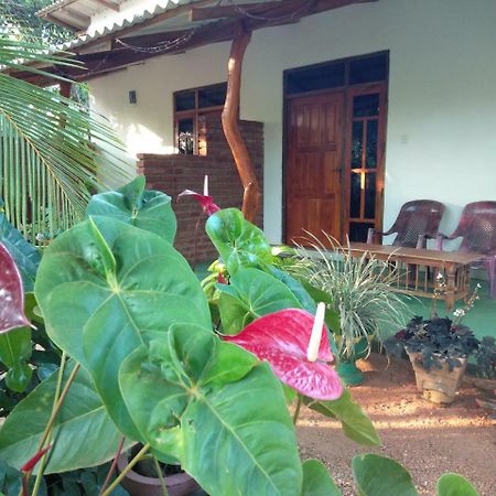 Amaya River Side Homestay Sigiriya Bagian luar foto