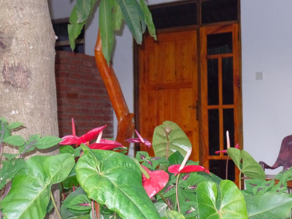 Amaya River Side Homestay Sigiriya Bagian luar foto