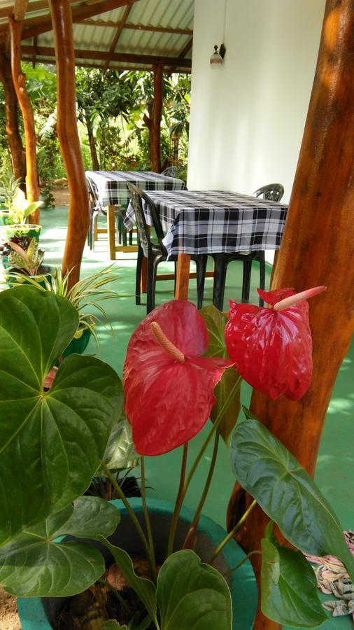 Amaya River Side Homestay Sigiriya Bagian luar foto
