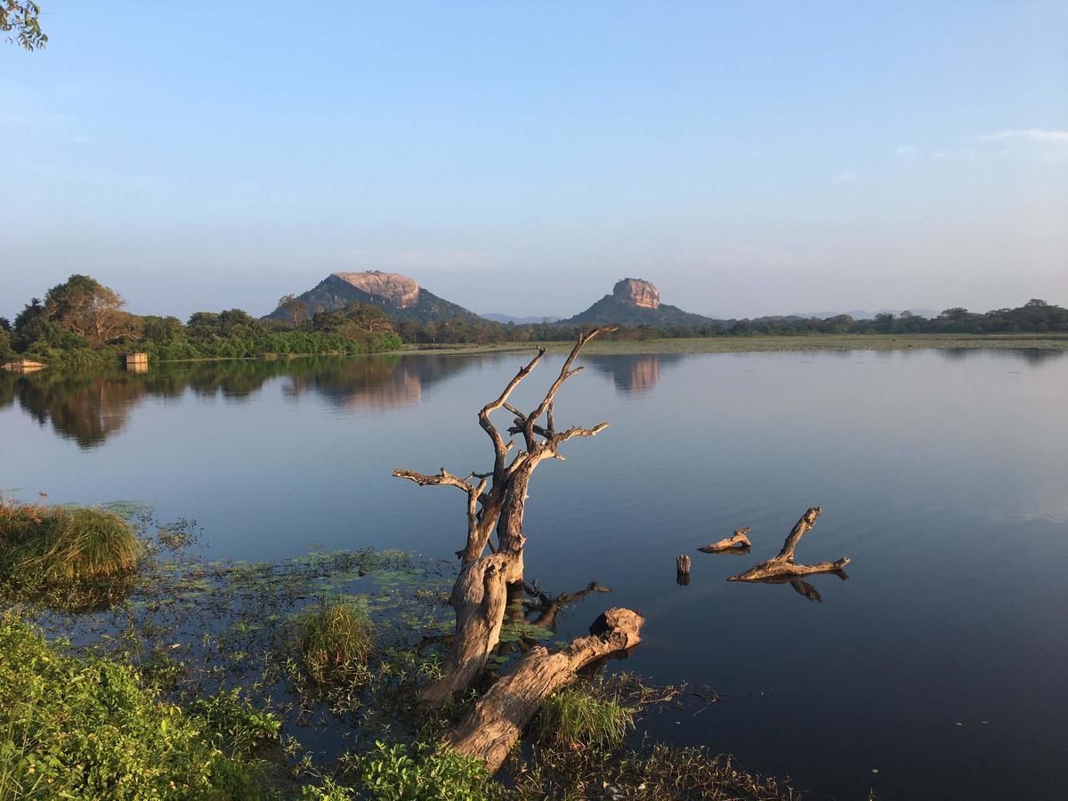 Amaya River Side Homestay Sigiriya Bagian luar foto