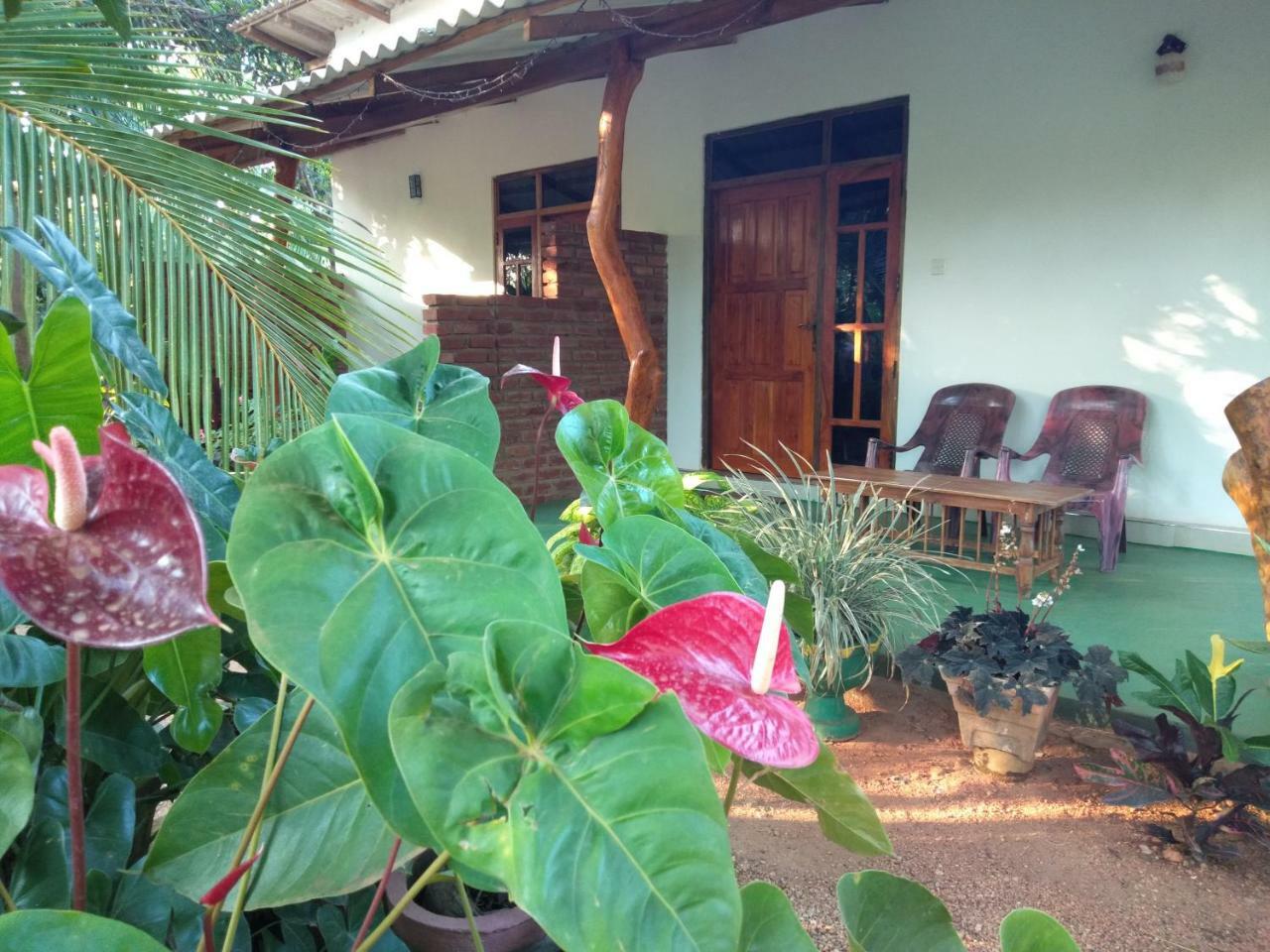 Amaya River Side Homestay Sigiriya Bagian luar foto